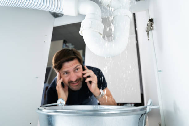 Best Plumbing Services Near Me  in Brandon, FL