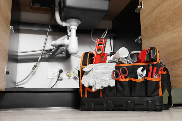 Best Plumbing Repair Near Me  in Brandon, FL