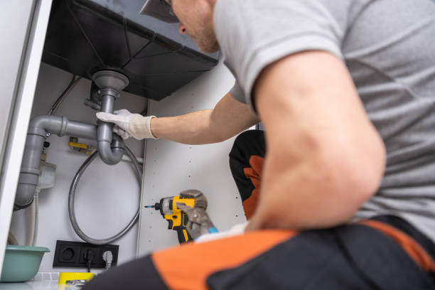  Brandon, FL Plumbing Pros